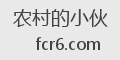 农村的小伙