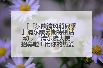 「东陵清风消夏季」清东陵暑期特别活动，“清东陵大使”招募啦！用你的热爱守护世界遗产！