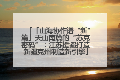 「山海协作谱“新”篇」天山南簏的“苏克密码”：江苏援疆打造新疆克州制造新引擎
