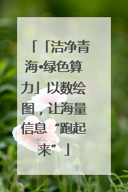 「洁净青海•绿色算力」以数绘图，让海量信息“跑起来”