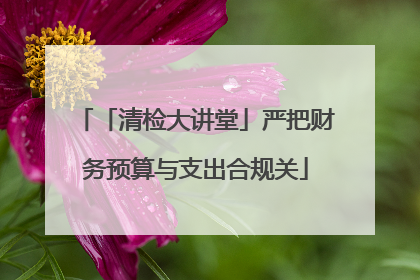 「清检大讲堂」严把财务预算与支出合规关