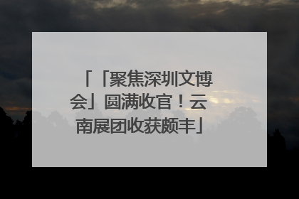 「聚焦深圳文博会」圆满收官！云南展团收获颇丰