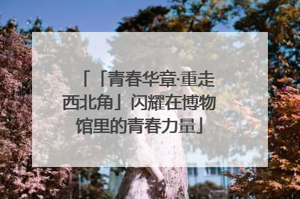 「青春华章·重走西北角」闪耀在博物馆里的青春力量