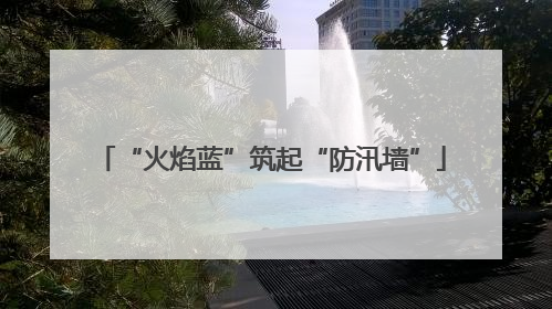“火焰蓝”筑起“防汛墙”