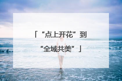 “点上开花”到“全域共美”