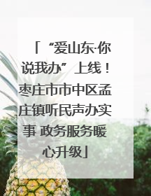 “爱山东·你说我办”上线！枣庄市市中区孟庄镇听民声办实事 政务服务暖心升级