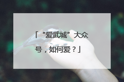 “爱武城”大众号，如何爱？