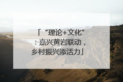 “理论+文化”：嘉兴黄岩联动，乡村振兴添活力
