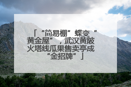 “简易棚”蝶变“黄金屋”，武汉黄陂火塔线瓜果售卖亭成“金招牌”