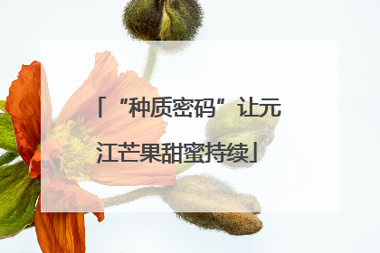 “种质密码”让元江芒果甜蜜持续