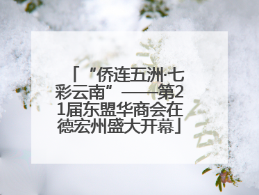“侨连五洲·七彩云南”——第21届东盟华商会在德宏州盛大开幕