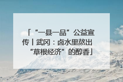 “一县一品”公益宣传丨武冈：卤水里熬出“草根经济”的醇香