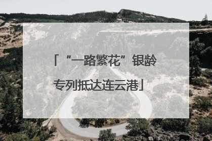“一路繁花”银龄专列抵达连云港
