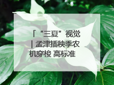 “三夏”视觉｜孟津插秧季农机穿梭 高标准农田披绿装