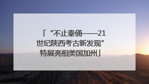“不止秦俑——21世纪陕西考古新发现”特展亮相美国加州
