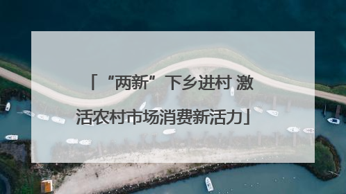 “两新”下乡进村 激活农村市场消费新活力