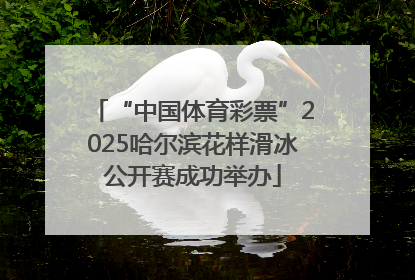 “中国体育彩票”2025哈尔滨花样滑冰公开赛成功举办