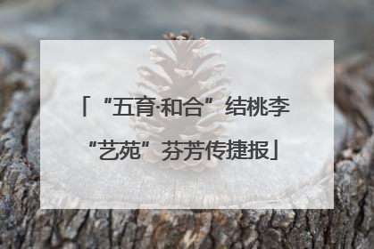 “五育·和合”结桃李 “艺苑”芬芳传捷报