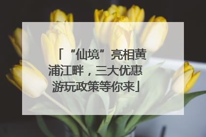 “仙境”亮相黄浦江畔，三大优惠游玩政策等你来