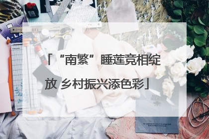 “南繁”睡莲竞相绽放 乡村振兴添色彩