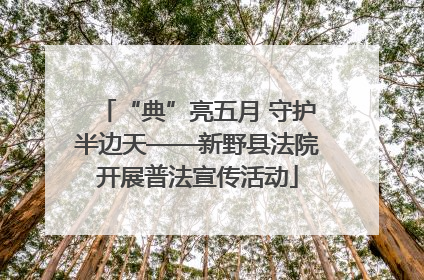 “典”亮五月 守护半边天——新野县法院开展普法宣传活动