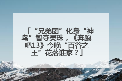 “兄弟团”化身“神鸟”智夺灵珠，《奔跑吧13》今晚“百谷之王”花落谁家？