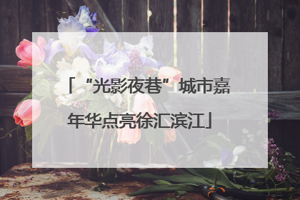 “光影夜巷”城市嘉年华点亮徐汇滨江