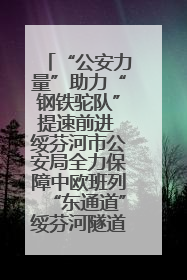 “公安力量”助力“钢铁驼队”提速前进 绥芬河市公安局全力保障中欧班列“东通道”绥芬河隧道贯通