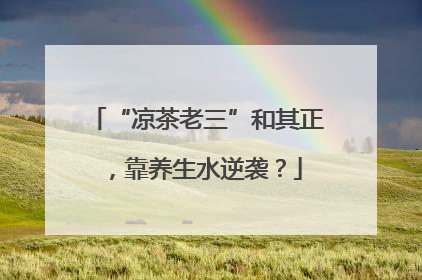 “凉茶老三”和其正，靠养生水逆袭？