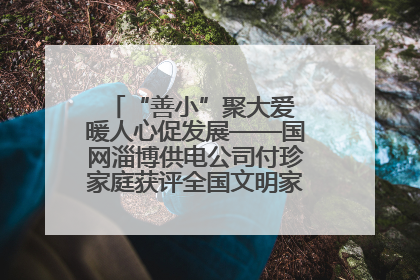 “善小”聚大爱 暖人心促发展——国网淄博供电公司付珍家庭获评全国文明家庭背后的文明密码