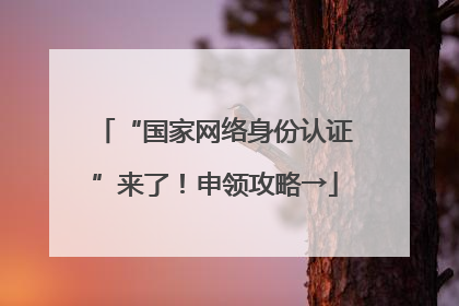 “国家网络身份认证”来了！申领攻略→