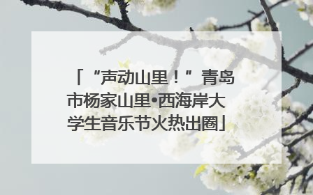 “声动山里！”青岛市杨家山里•西海岸大学生音乐节火热出圈