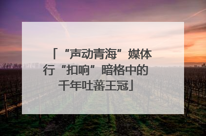 “声动青海”媒体行“扣响”暗格中的千年吐蕃王冠