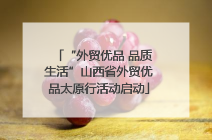 “外贸优品 品质生活”山西省外贸优品太原行活动启动
