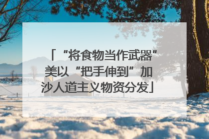 “将食物当作武器” 美以“把手伸到”加沙人道主义物资分发