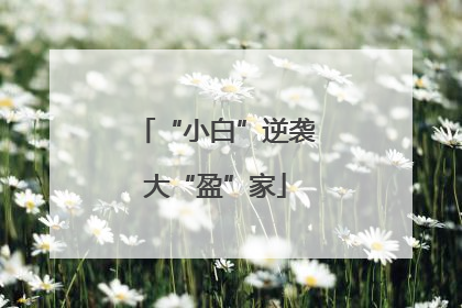“小白”逆袭大“盈”家