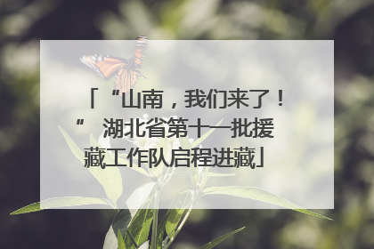 “山南，我们来了！” 湖北省第十一批援藏工作队启程进藏