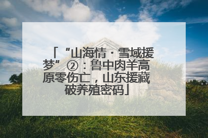 “山海情・雪域援梦”②：鲁中肉羊高原零伤亡，山东援藏破养殖密码