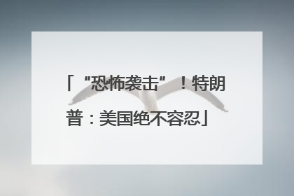 “恐怖袭击”！特朗普：美国绝不容忍