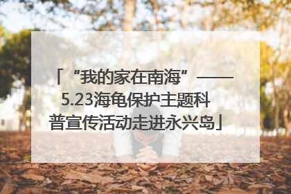 “我的家在南海”——5.23海龟保护主题科普宣传活动走进永兴岛