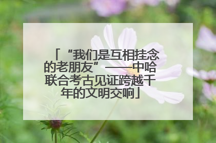 “我们是互相挂念的老朋友”——中哈联合考古见证跨越千年的文明交响
