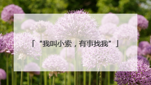 “我叫小索，有事找我”