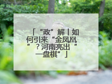 “政”解丨如何引来“金凤凰”？河南亮出“一盘棋”