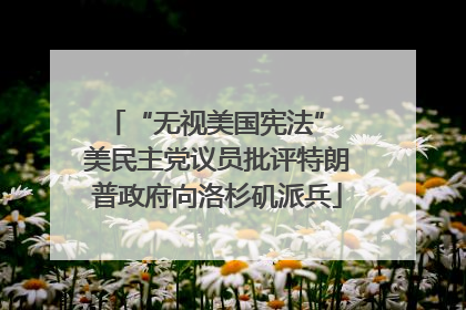 “无视美国宪法” 美民主党议员批评特朗普政府向洛杉矶派兵
