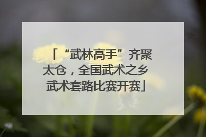 “武林高手”齐聚太仓，全国武术之乡武术套路比赛开赛