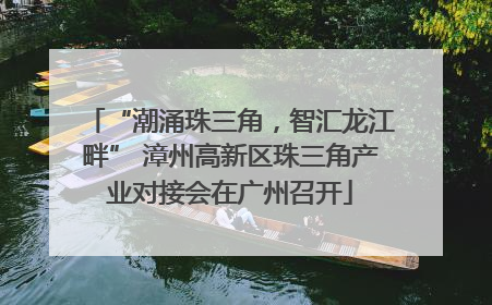 “潮涌珠三角，智汇龙江畔” 漳州高新区珠三角产业对接会在广州召开