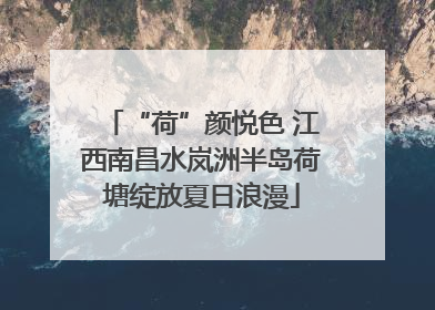 “荷”颜悦色 江西南昌水岚洲半岛荷塘绽放夏日浪漫
