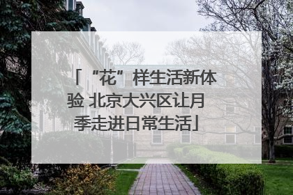 “花”样生活新体验 北京大兴区让月季走进日常生活
