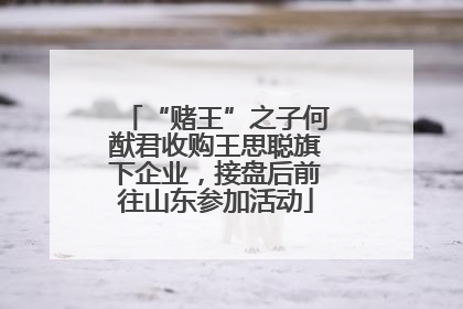 “赌王”之子何猷君收购王思聪旗下企业，接盘后前往山东参加活动