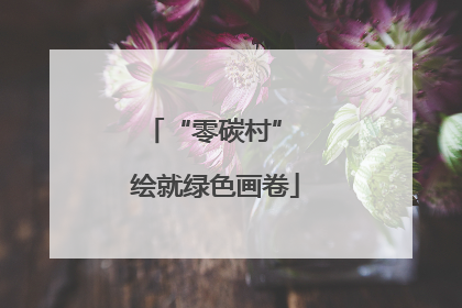 “零碳村” 绘就绿色画卷